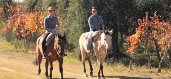 Passeios a cavalo no Rancho Viejo em Lunlunta