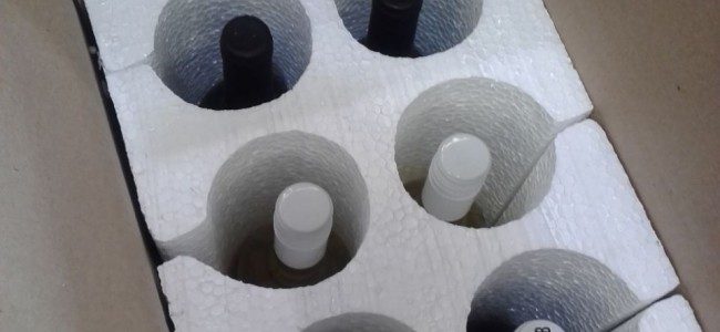 Mendoza wine tour vineyard Argentina