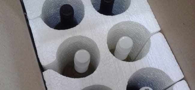 Mendoza wine tour vineyard Argentina